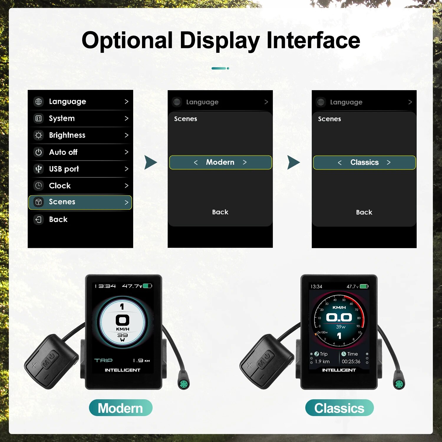 P860C4-Display LCD a doppia interfaccia-compatibile-con-BAFANG-BBS01-BBS02-BBSHD-motore-mid-drive-conversione-eBike.jpg_